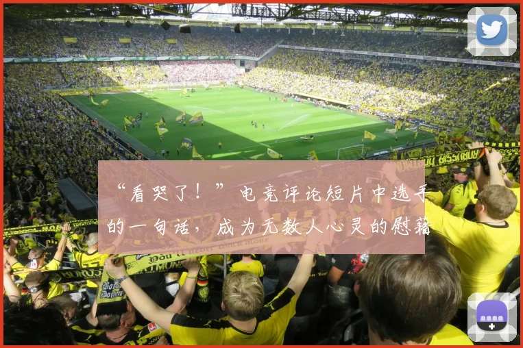 “看哭了!”电竞评论短片中选手的一句话,成为无数人心灵的慰藉_20260530144021